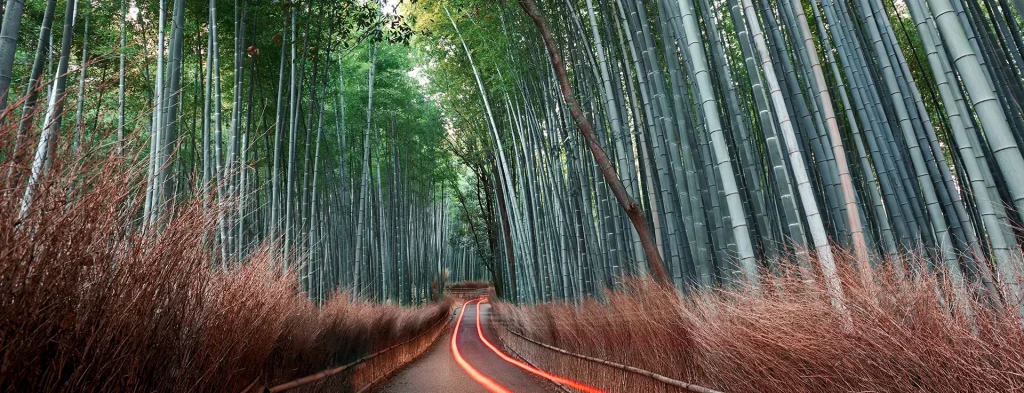 چشم‌انداز لنوو برای تبدیل چالش‌های هوش مصنوعی